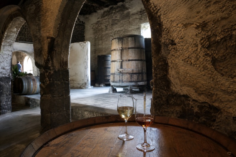 El Grifo Bodega, Cheese Tasting