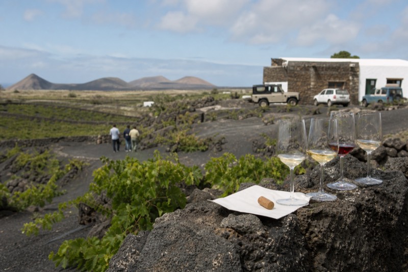 Family Winery, 3-Hour Lava Flow