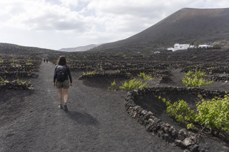 Volcano Hike, No Wine Tasting