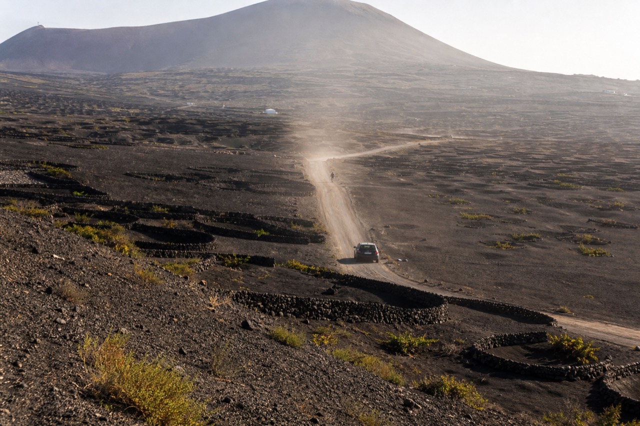 Volcanic vineyard landscape with stone windbreaks and ash pits in La Geria, Lanzarote