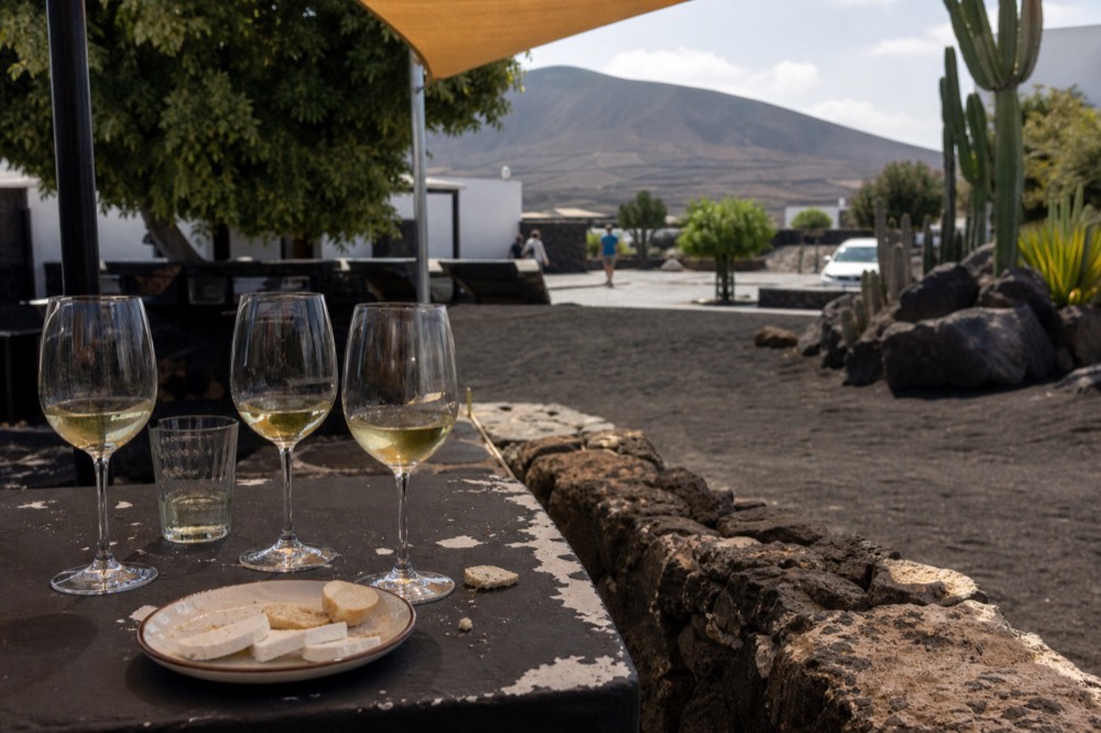 A tasting flight of white wines beside a plate of cheese on a bodega terrace