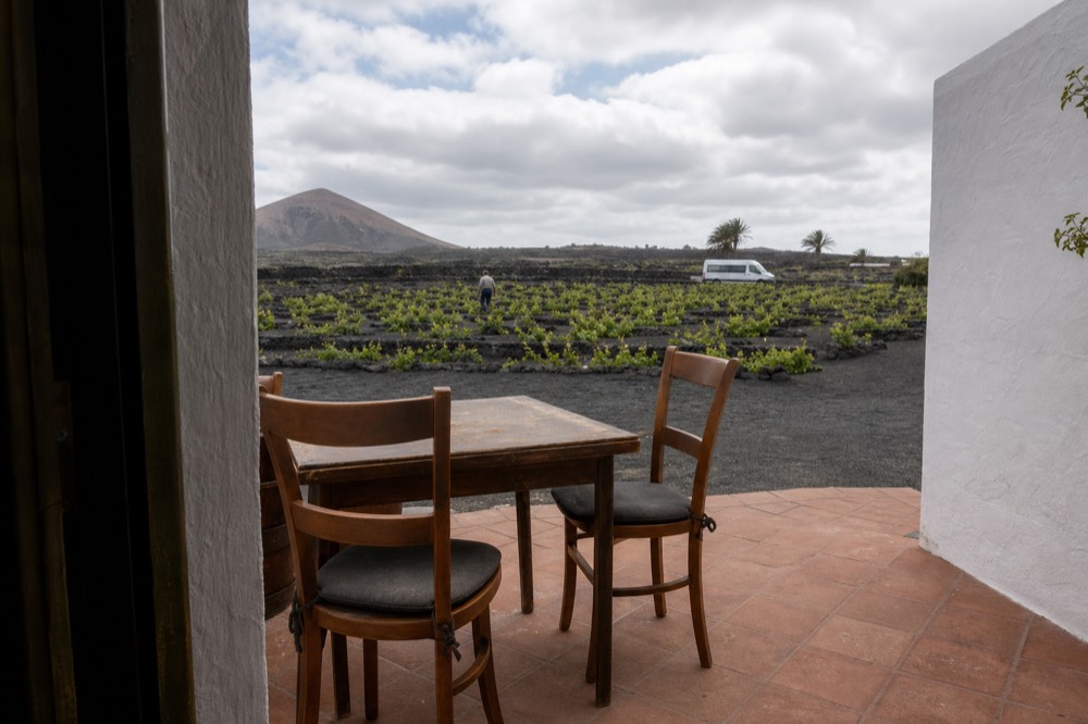 White bodega buildings and a tasting terrace overlooking rows of ash vine pits