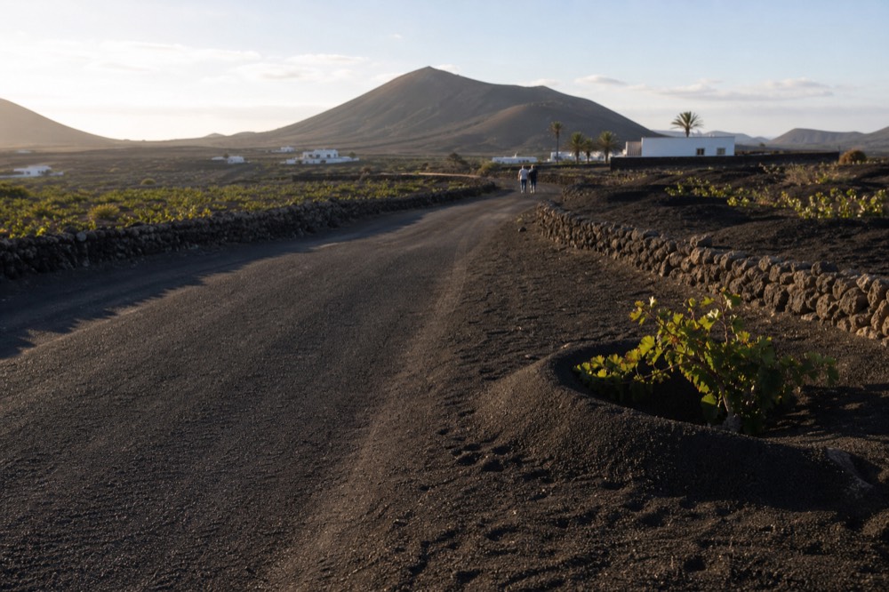 A quiet road winding through black ash vineyards toward a volcanic cone at golden hour