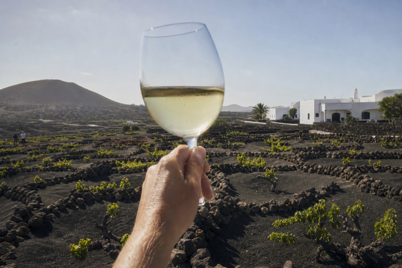 A glass of white wine held above black volcanic ash vineyards in Lanzarote