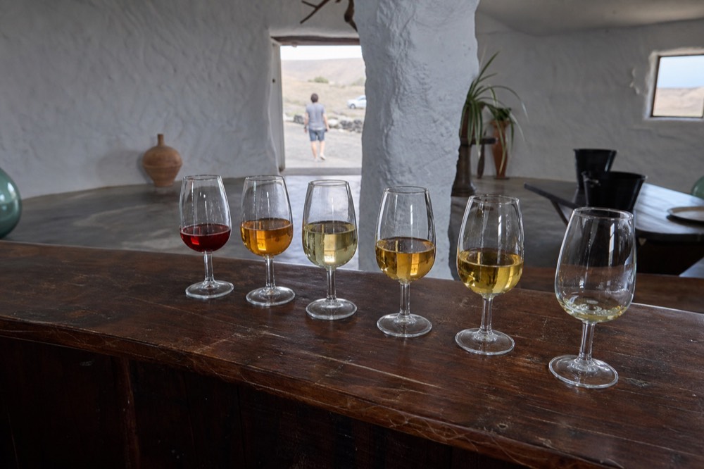 A row of filled wine glasses on a wooden tasting counter in a whitewashed bodega