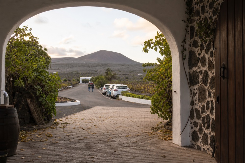 A whitewashed bodega building with dark volcanic rock walls and green vines