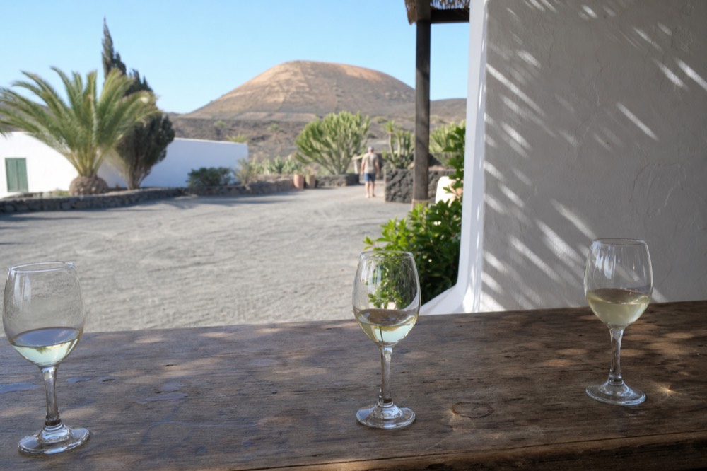 Glasses of pale white wine on a wooden tasting counter