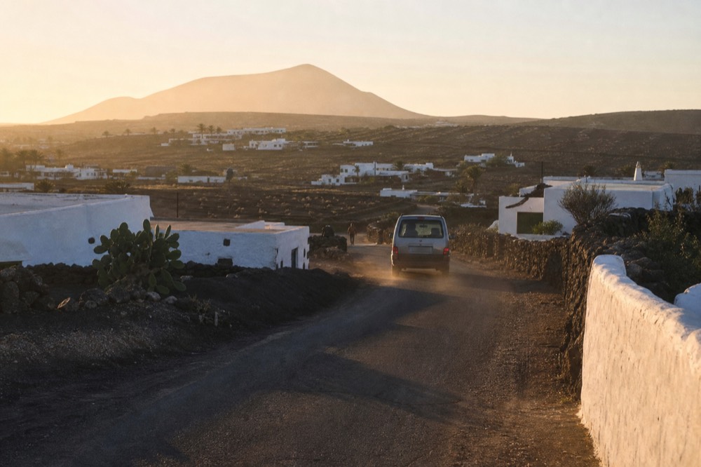 A vineyard road winding between black ash fields and low white buildings at golden hour