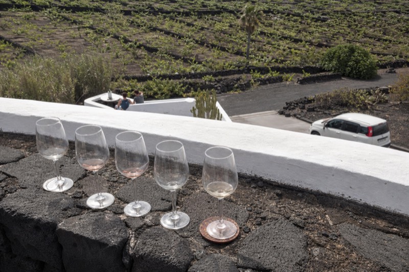 Wine glasses lined up on a black stone terrace beside rows of vines