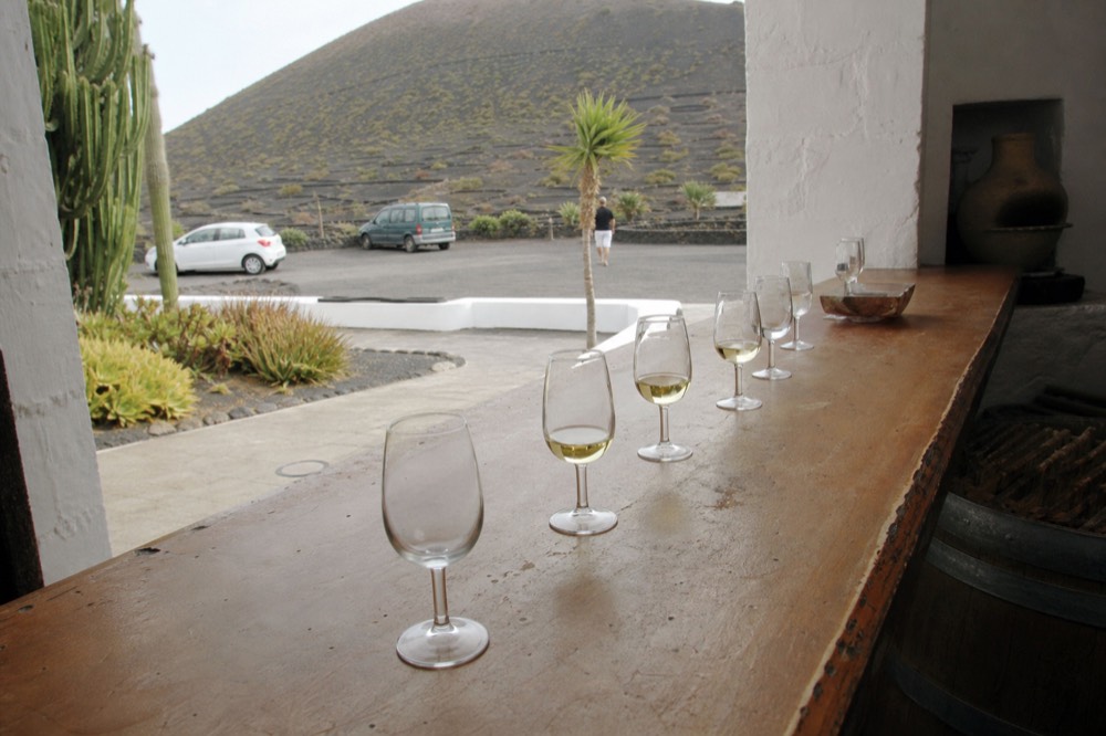 Glasses of white wine lined on a tasting counter in a Canarian bodega