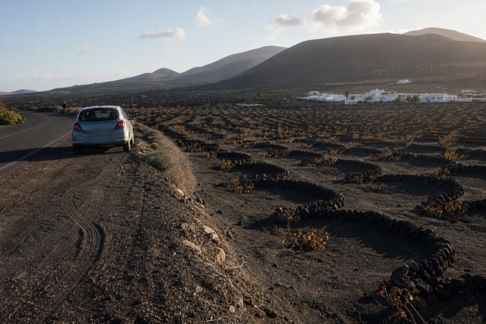 A public roadside viewpoint over rows of vine pits dug into black volcanic ash