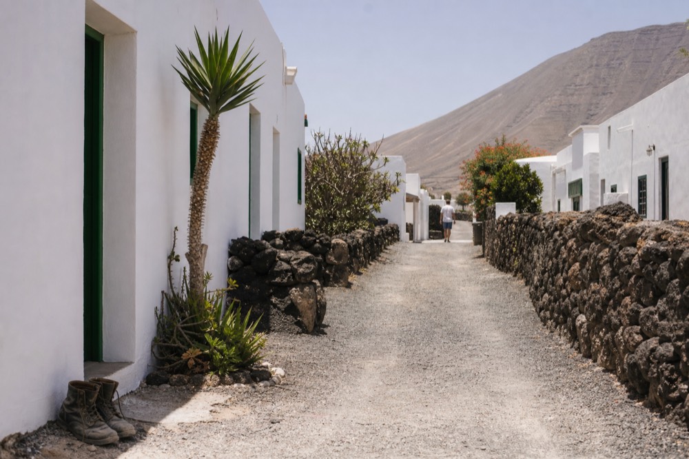 A quiet village lane passing between low stone walls and scattered vine hollows