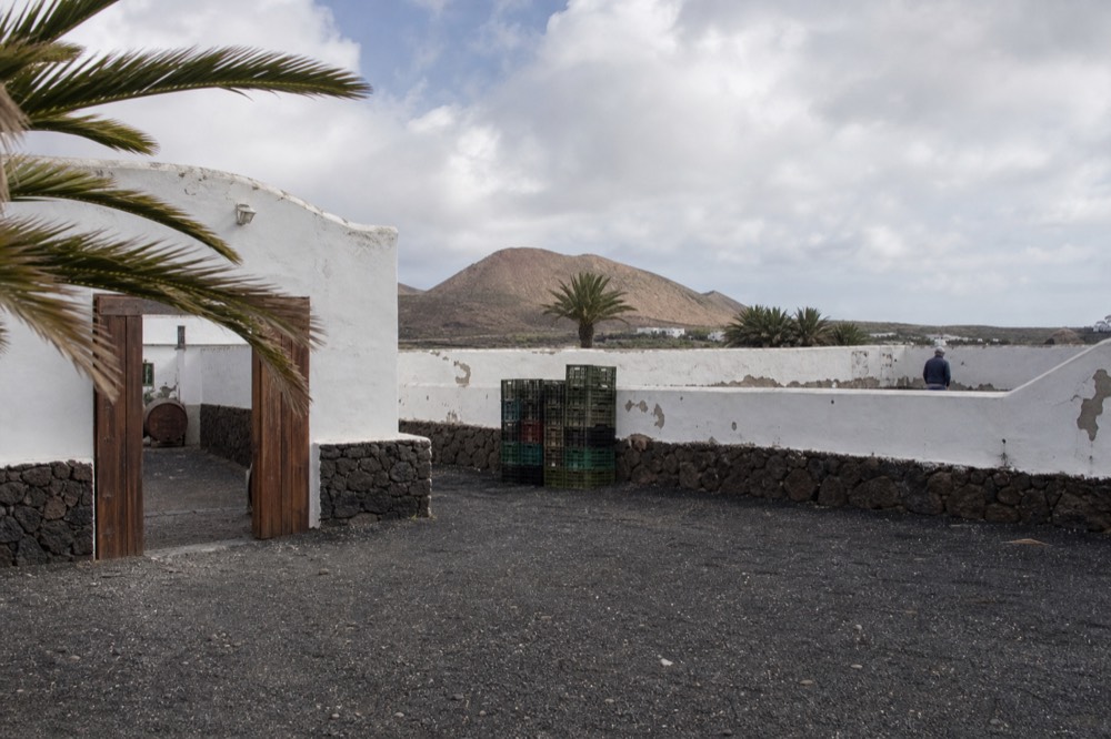 A whitewashed Canarian winery courtyard with dark volcanic stone and open sky