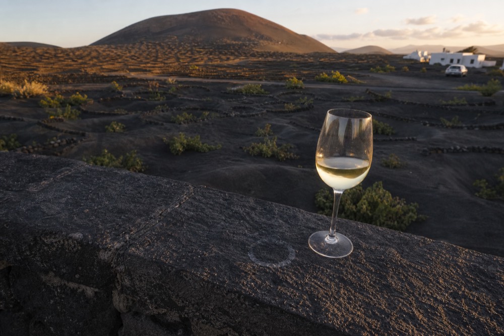 A glass of pale white wine on a dark stone terrace above vine pits at golden hour