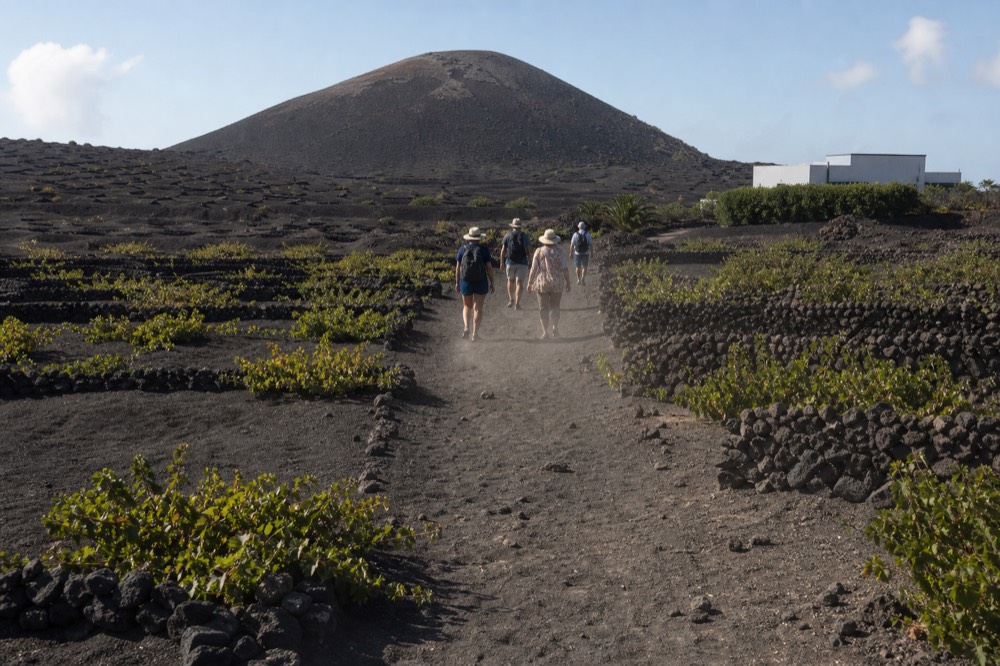 A small group walking a dirt path between ash vine pits towards a volcanic cone