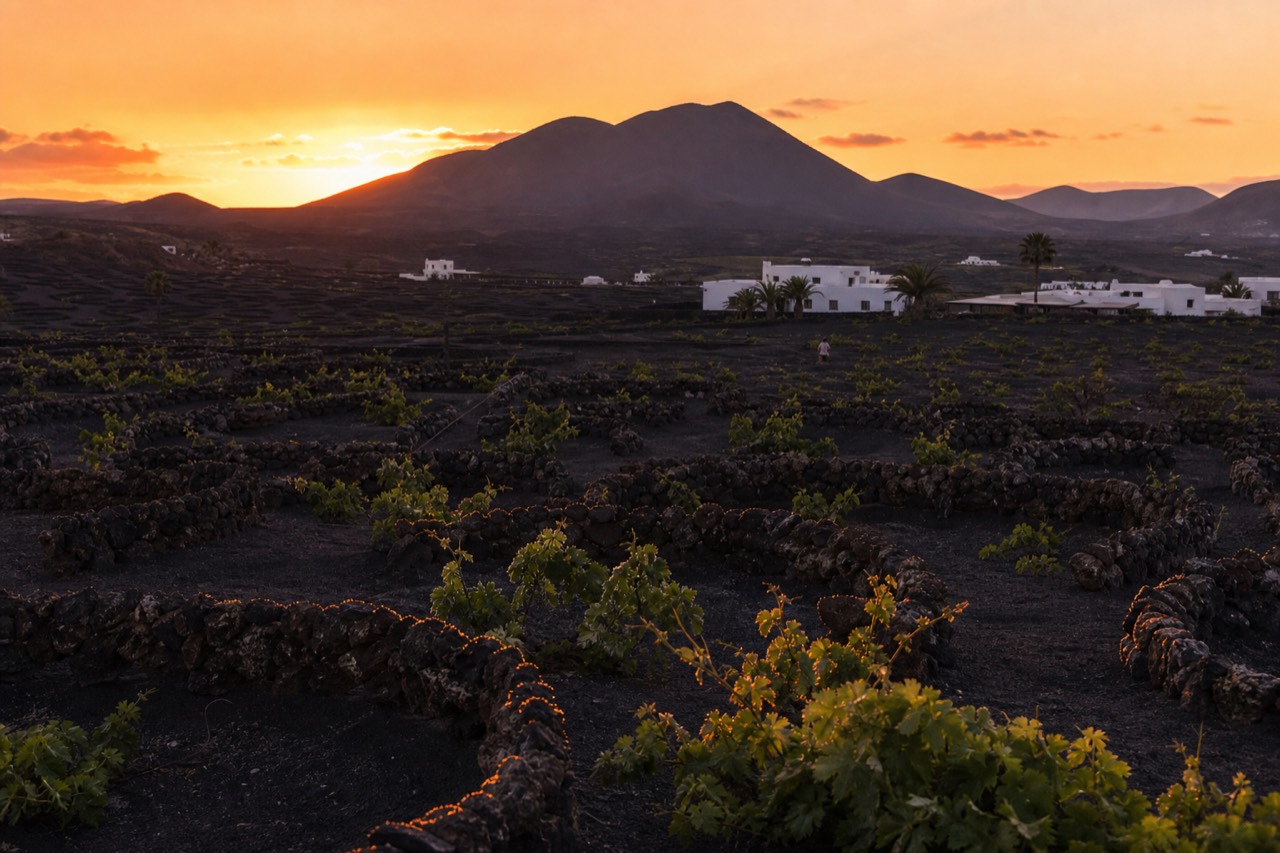 Sunset over Timanfaya volcano with vineyards in foreground