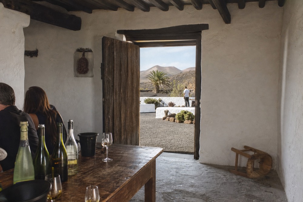 A bodega tasting room with bottles and glasses