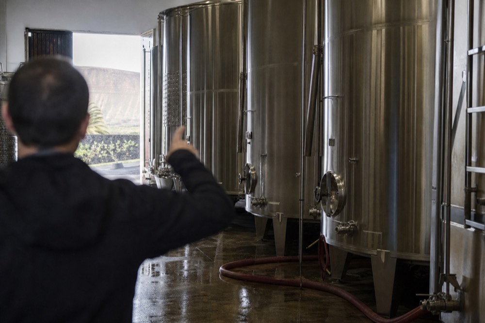 A guide explaining the winemaking process beside stainless steel tanks