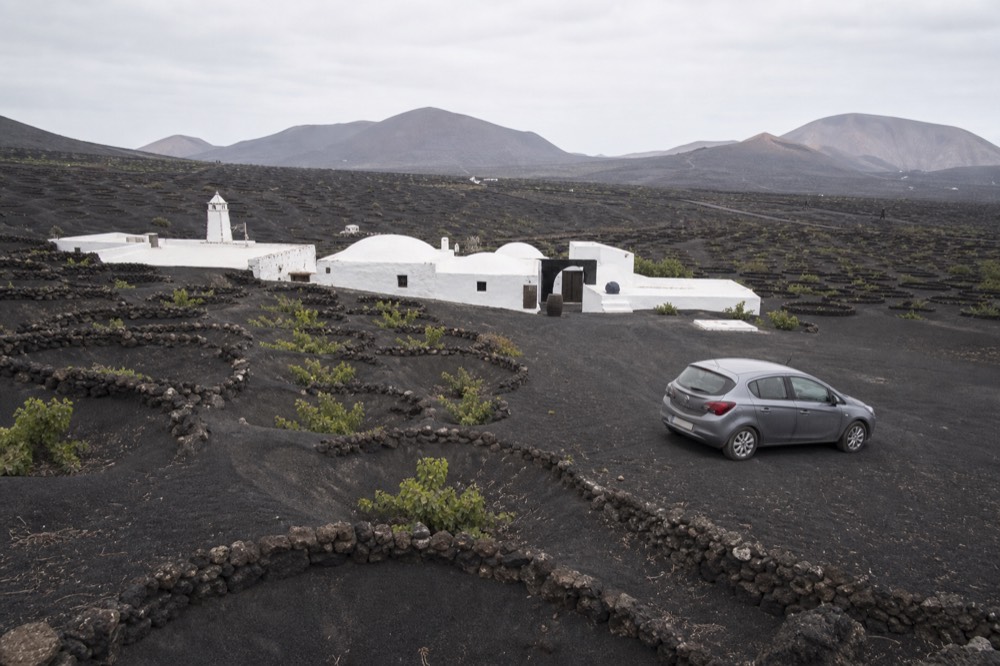 Low whitewashed winery buildings set among black volcanic gravel and hand-dug vine pits