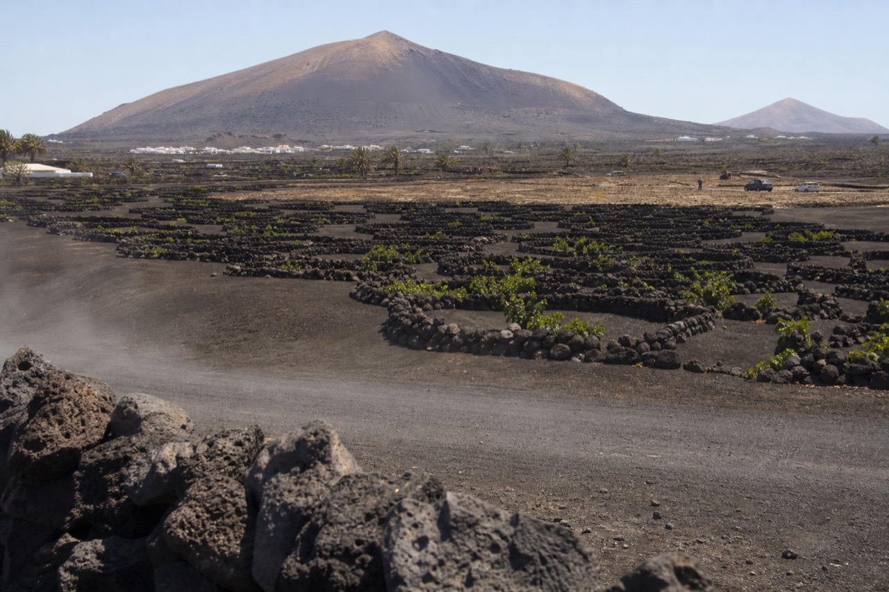 Volcanic vineyard pits with stone zocos in La Geria seen from the wine road
