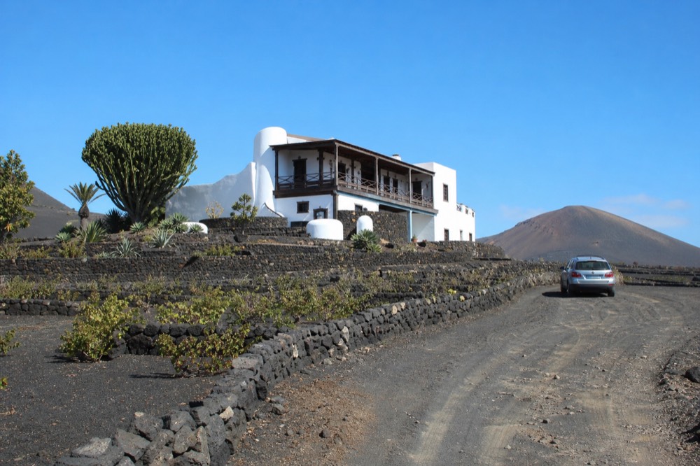 White winery building and terrace among dark ash vineyards under a clear sky