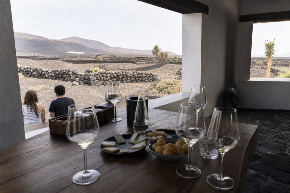 Glasses of white wine on a wooden tasting table with cheese plates